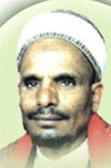 محمد حسين عامر