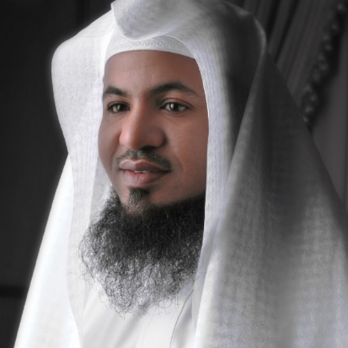 محمد بن علي الشنقيطي